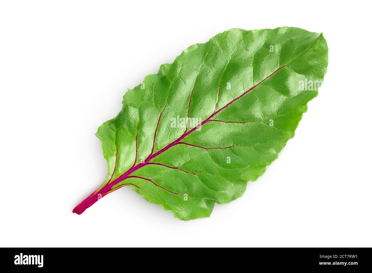 Rote Bete, isoliert auf weißem Hintergrund mit Beschneidungspfad und voller Schärfentiefe. Draufsicht. Flach liegend Stockfoto