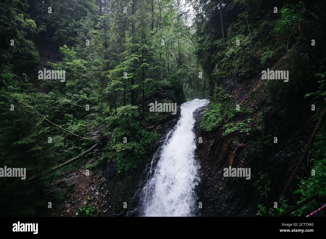 Bergwasserfall und Fluss im Wald stimmungsvolle grüne Atmosphäre Mit kaltem Wasser regnerischen Tag Stockfoto