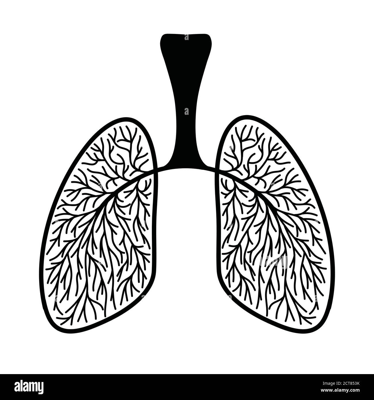 Menschliche Lunge, schematische Darstellung der menschlichen Lunge mit Blutgefäßen. Skizze Zeichnung linart Clipart Medizin Stock Vektor