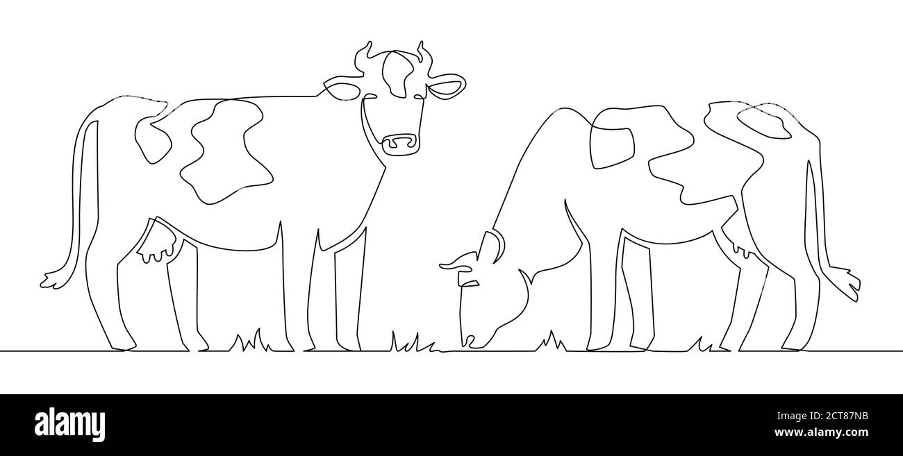 Eine Linie Kühe. Milch Kuh Tier, Vieh und Rindfleisch Fleisch und Kalb Bauernhof kontinuierliche Linie Artwork Vektor-Konzept. Illustration Kuh, Farmsäuger eine Linie A Stock Vektor