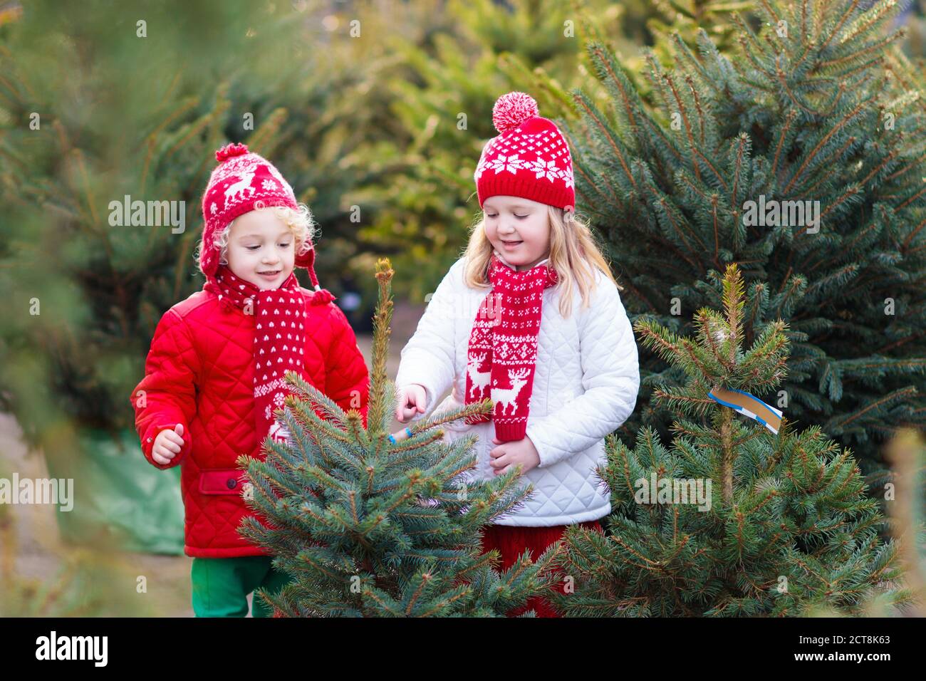 Familie auswählen Weihnachtsbaum. Kinder Auswahl frisch Norwegen Xmas Tree im Freien viel geschnitten. Kinder Geschenke kaufen im Winter fair. Junge und Mädchen shoppin Stockfoto
