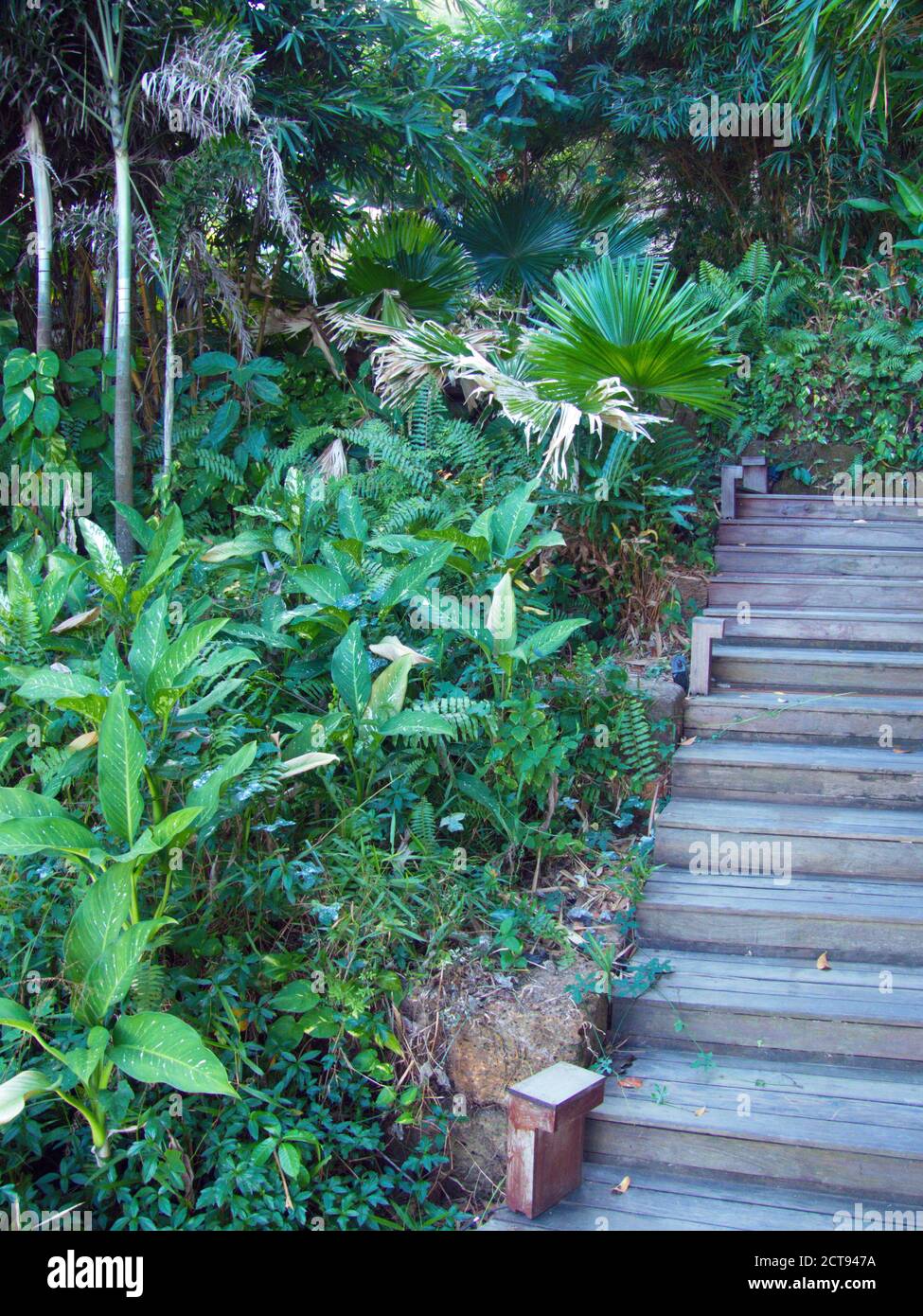 Greenery at Six Senses Krabey Island, Kambodscha Stockfoto Greenery at Six Senses Krabey Island, Kambodscha Stockfoto