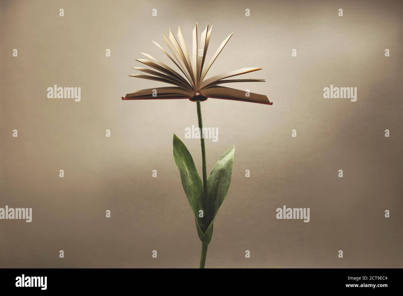 Surreale Pflanze mit einem offenen Buch, das die Blume ersetzt; Fantasy-Konzept Stockfoto