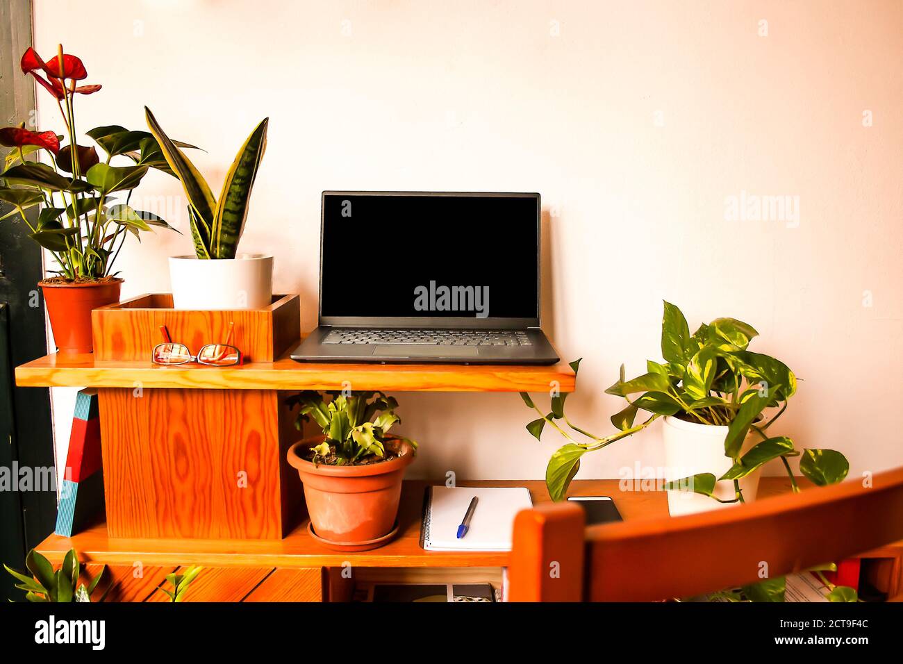 Grüner Raum Schreibtisch Dekor mit einigen natürlichen Pflanzen zu schaffen Eine Denkweise und ein kühles Arbeitsumfeld Stockfoto