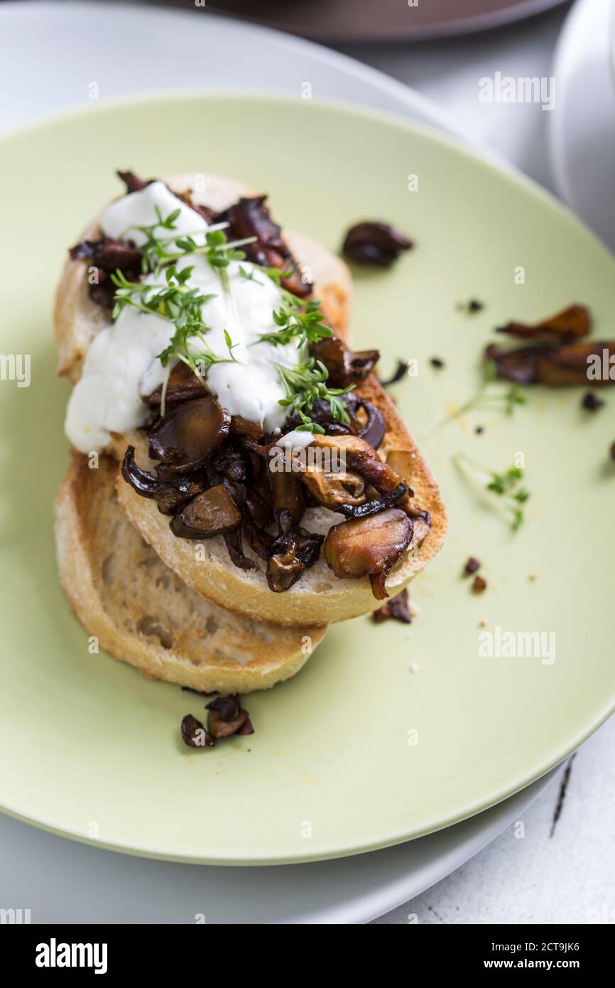 Fried wilde Pilze auf geröstetem Ciabatta mit Sauerrahm und Kresse, Studio Aufnahme Stockfoto