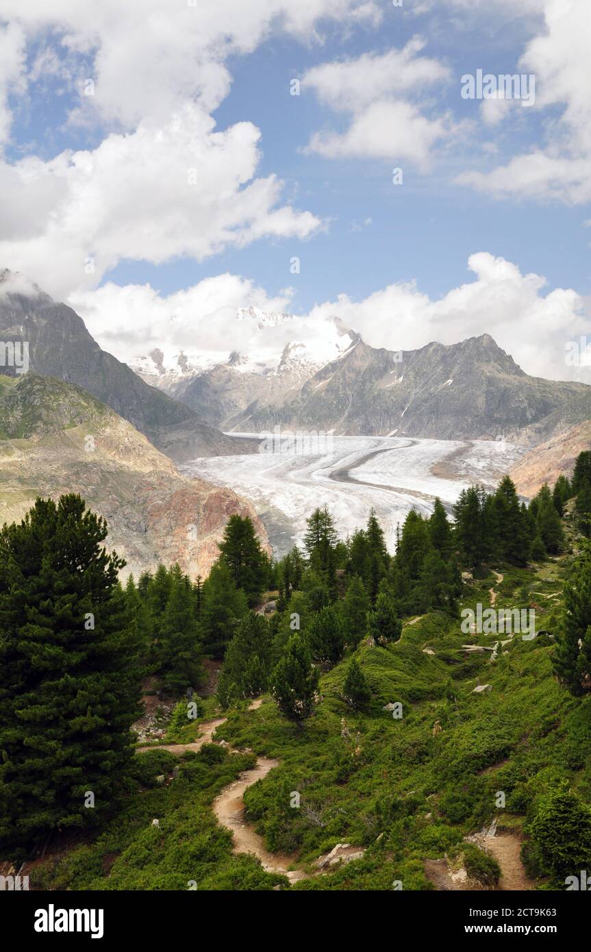 Schweiz, Wallis, Jungfrau-Aletsch-Bietschhorn, Aletschgletscher Stockfoto