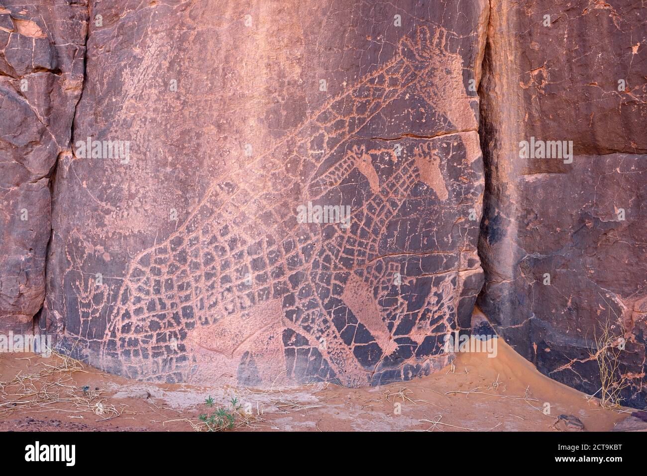 Nord-Afrika, Sahara, Algerien, Tassili n ' Ajjer National Park, Tadrart, neolithischen Felszeichnungen, rock Gravur einer Giraffe Stockfoto