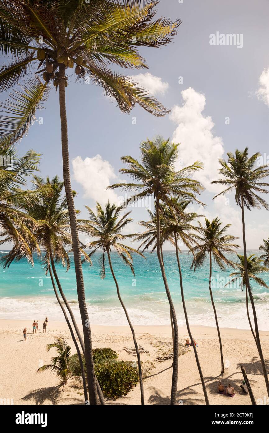 Karibik, Antillen, kleine Antillen, Barbados, Bottom Bay beach Stockfoto