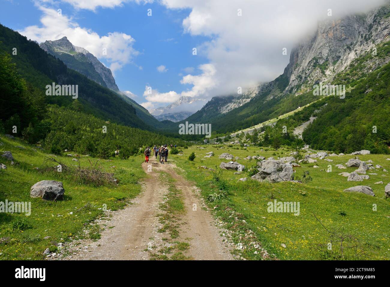 Montenegro, Gruppe von Wanderern im Ropojana-Tal Stockfoto