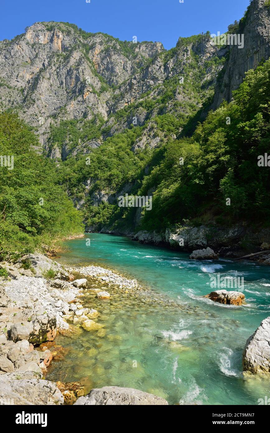 Montenegro, Crna Gora, Durmitor National Park, der Fluss Tara Stockfoto