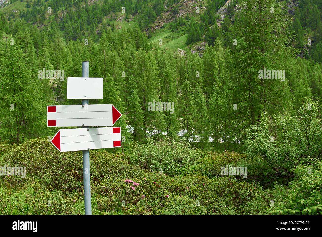 Italien, leeren Wegweiser im Wald von Valle Antrona Stockfoto