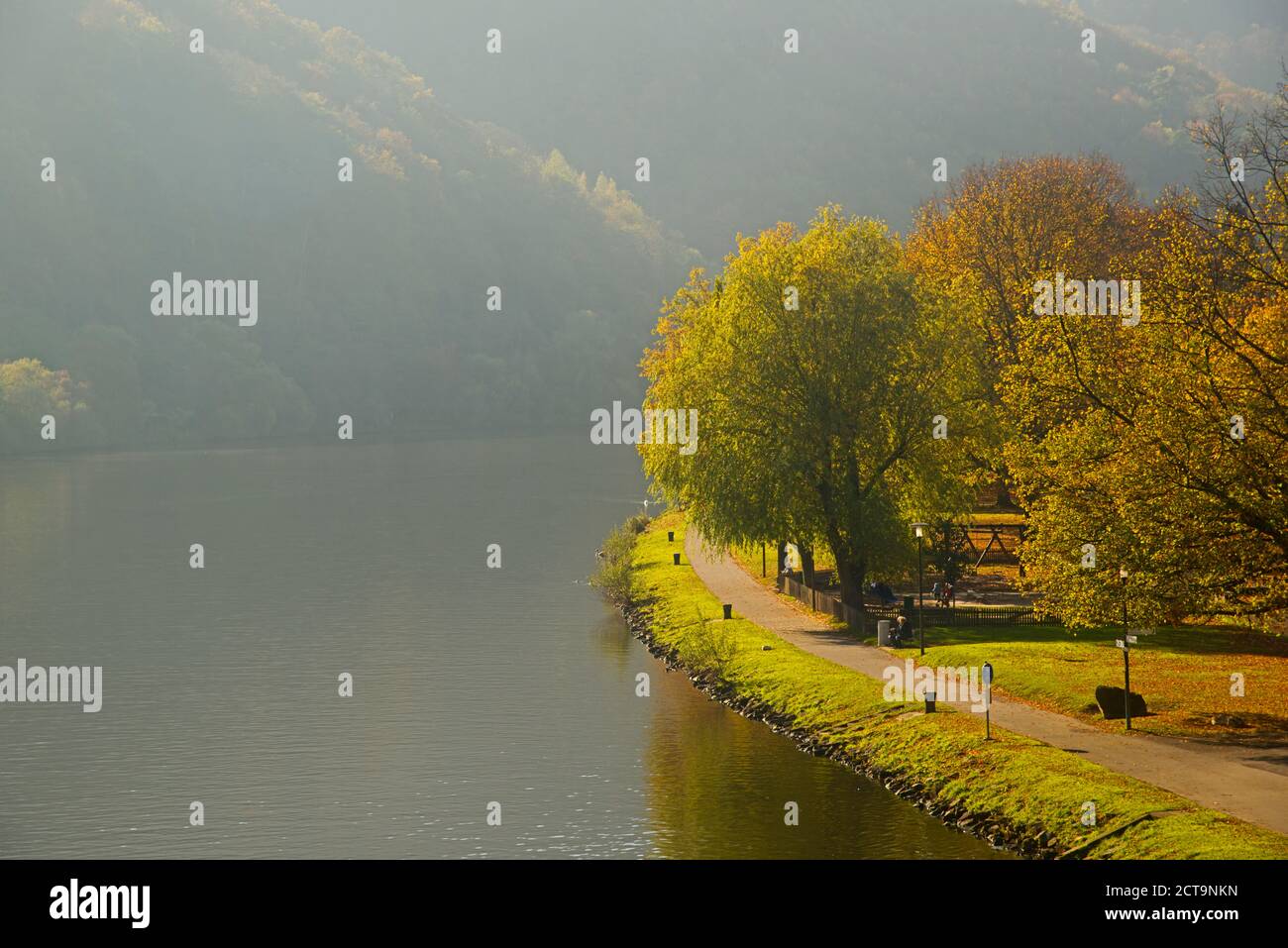 Deutschland, Rheinland-Pfalz, Moseltal, Mosel, Radweg in der Nähe von Bernkastel-Kues, herbstlichen Morgennebel Stockfoto