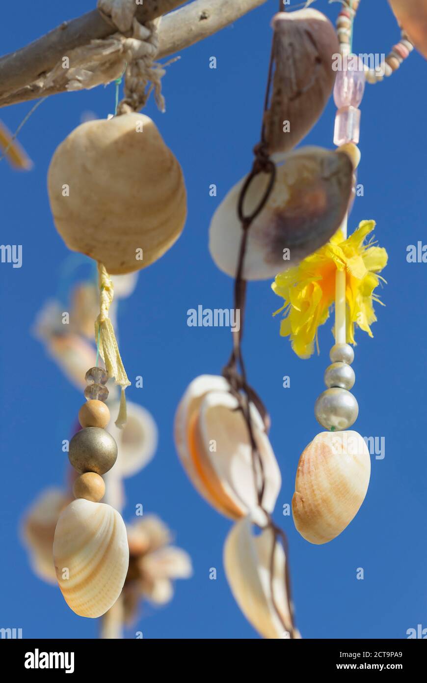 Spanien, Balearen, Formentera, Wunsch-Baum mit Muscheln Stockfoto