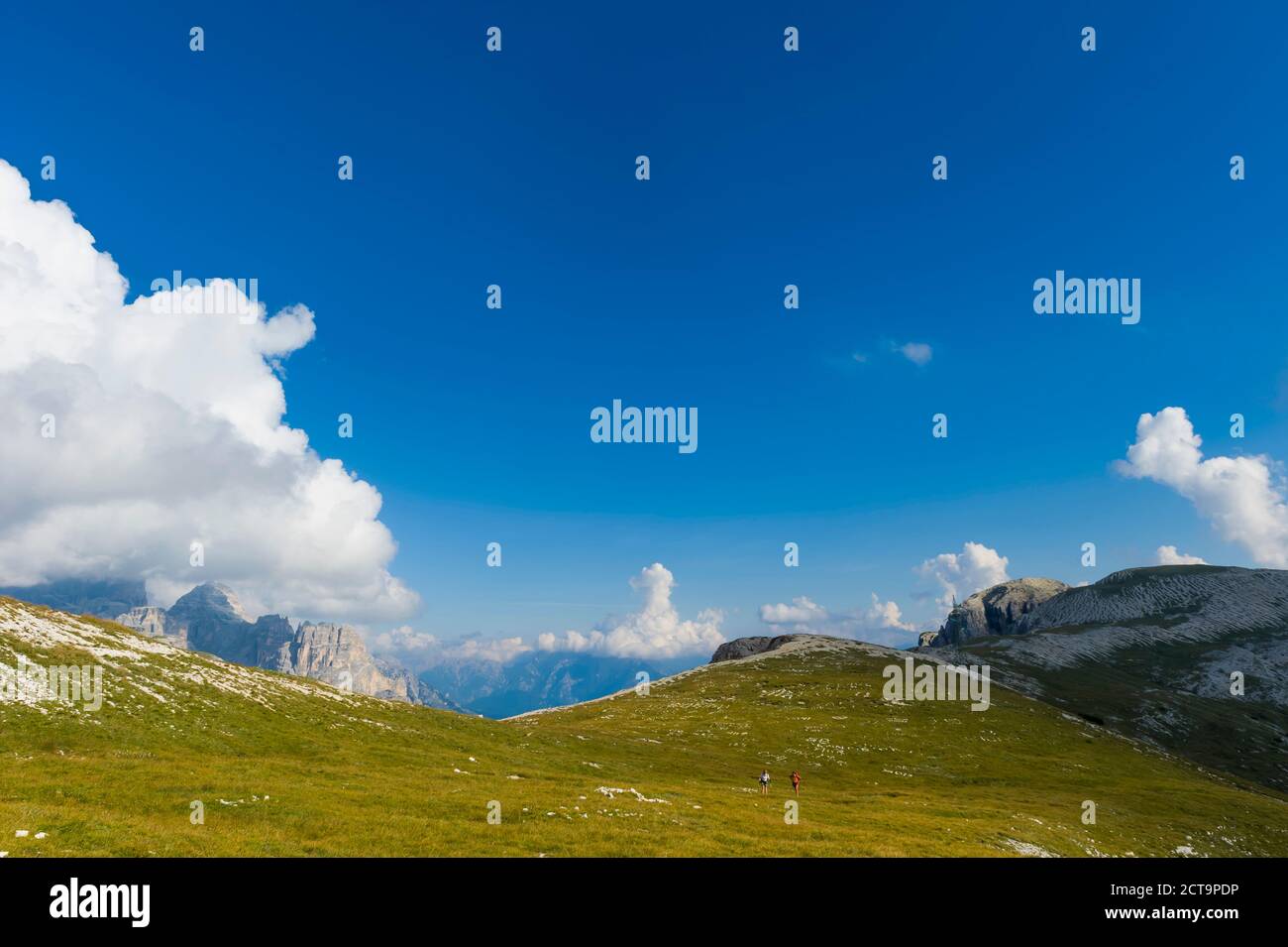 Italien, Provinz Belluno, Region Venetien, Auronzo di Cadore, alpinen Wiese in der Nähe von Tre Cime di Lavaredo Stockfoto