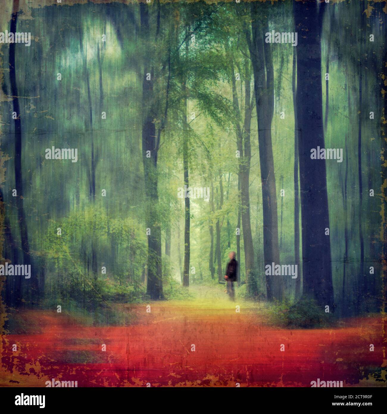 Person, die im Wald, zusammengesetzte Stockfoto