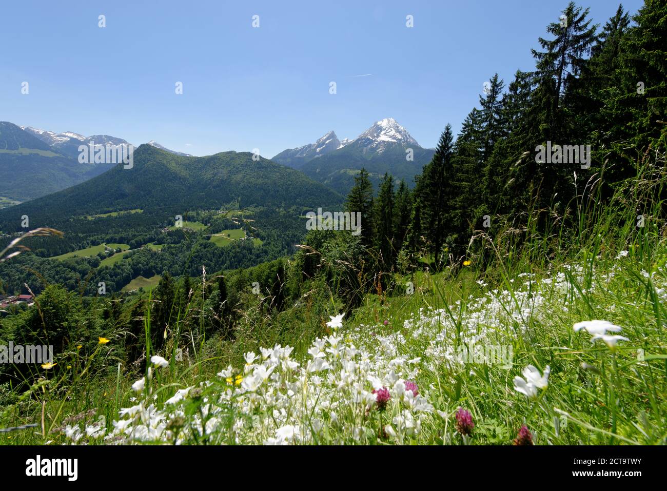 Deutschland, Bayern, Berchtesgadener Alpen, in der Nähe von Ramsau, Blick zum Watzmann und Hochkalter Stockfoto