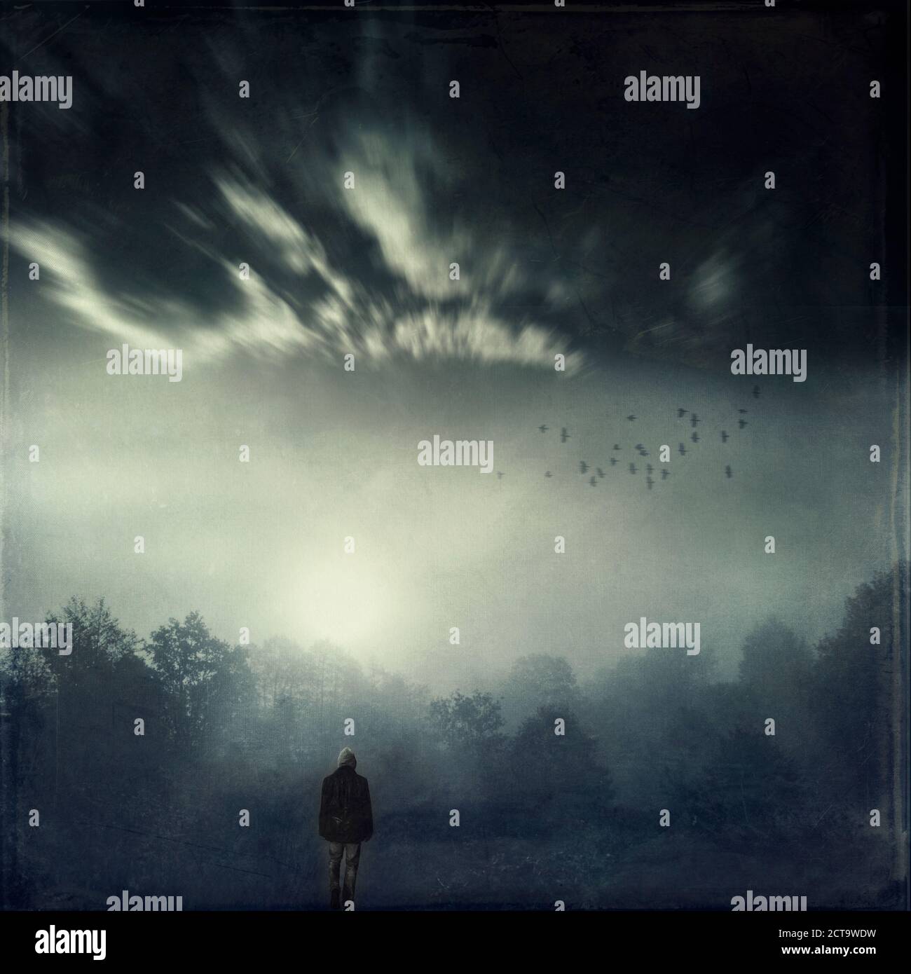 Landschaft bei Gegenlicht, zusammengesetzte stehende Person Stockfoto