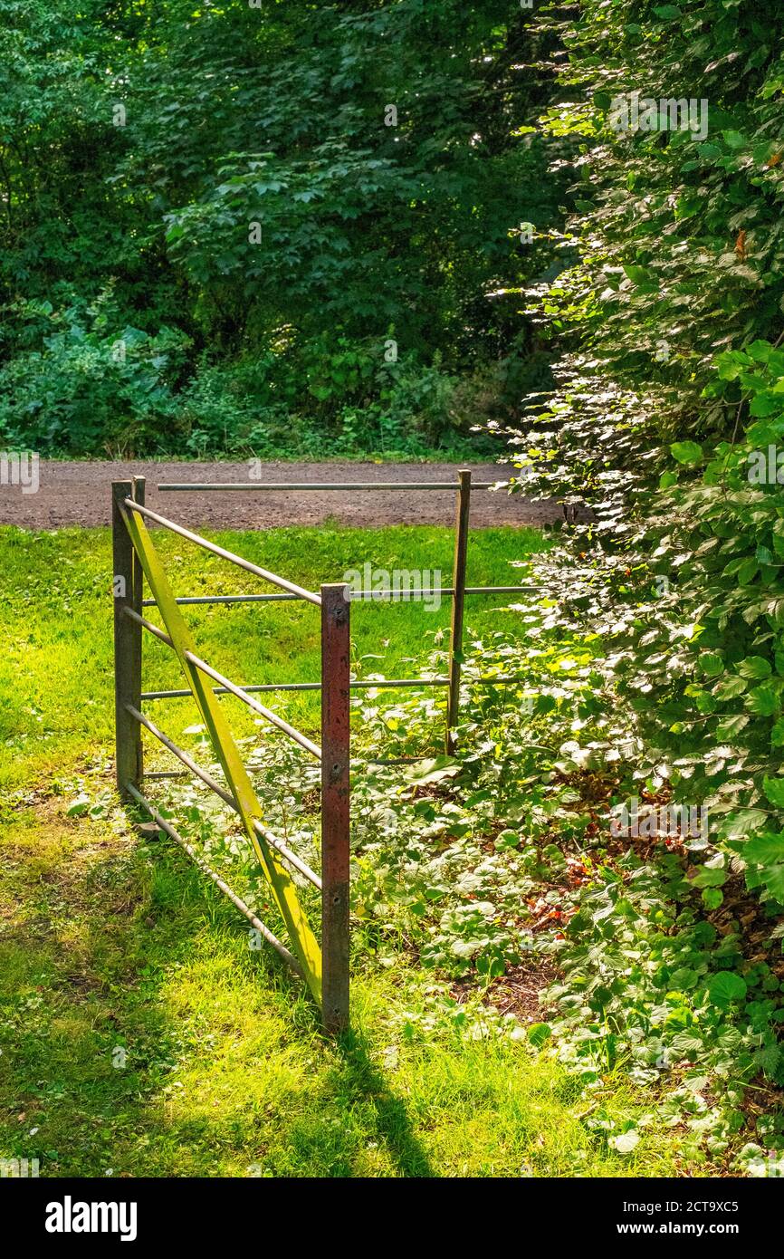 Salzwiesen-Hallengärten Stockfoto