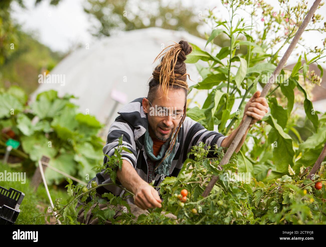 Österreich, Schiltern, Alternative Gärtner bei der Arbeit Stockfoto