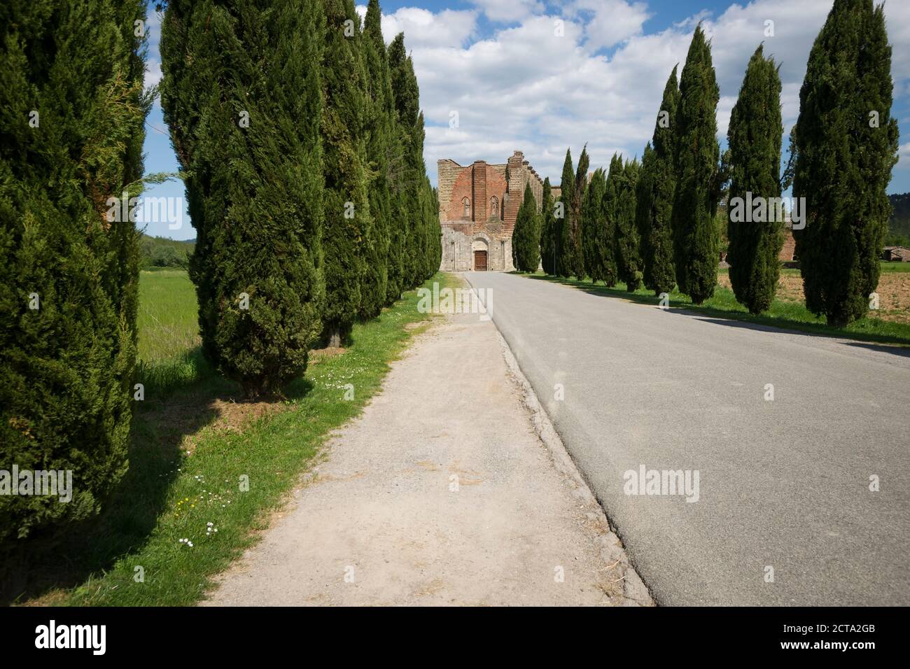 Italien, Toskana, Zufahrt zum Abbazia San Galgano Stockfoto