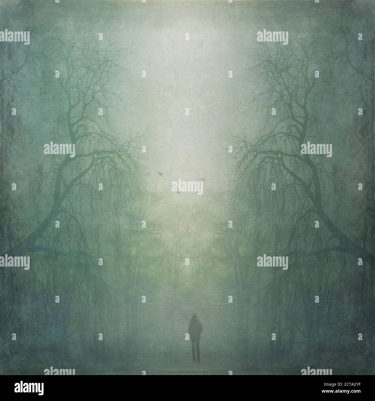 Person zu Fuß durch nebligen Wald, zusammengesetzte Stockfoto