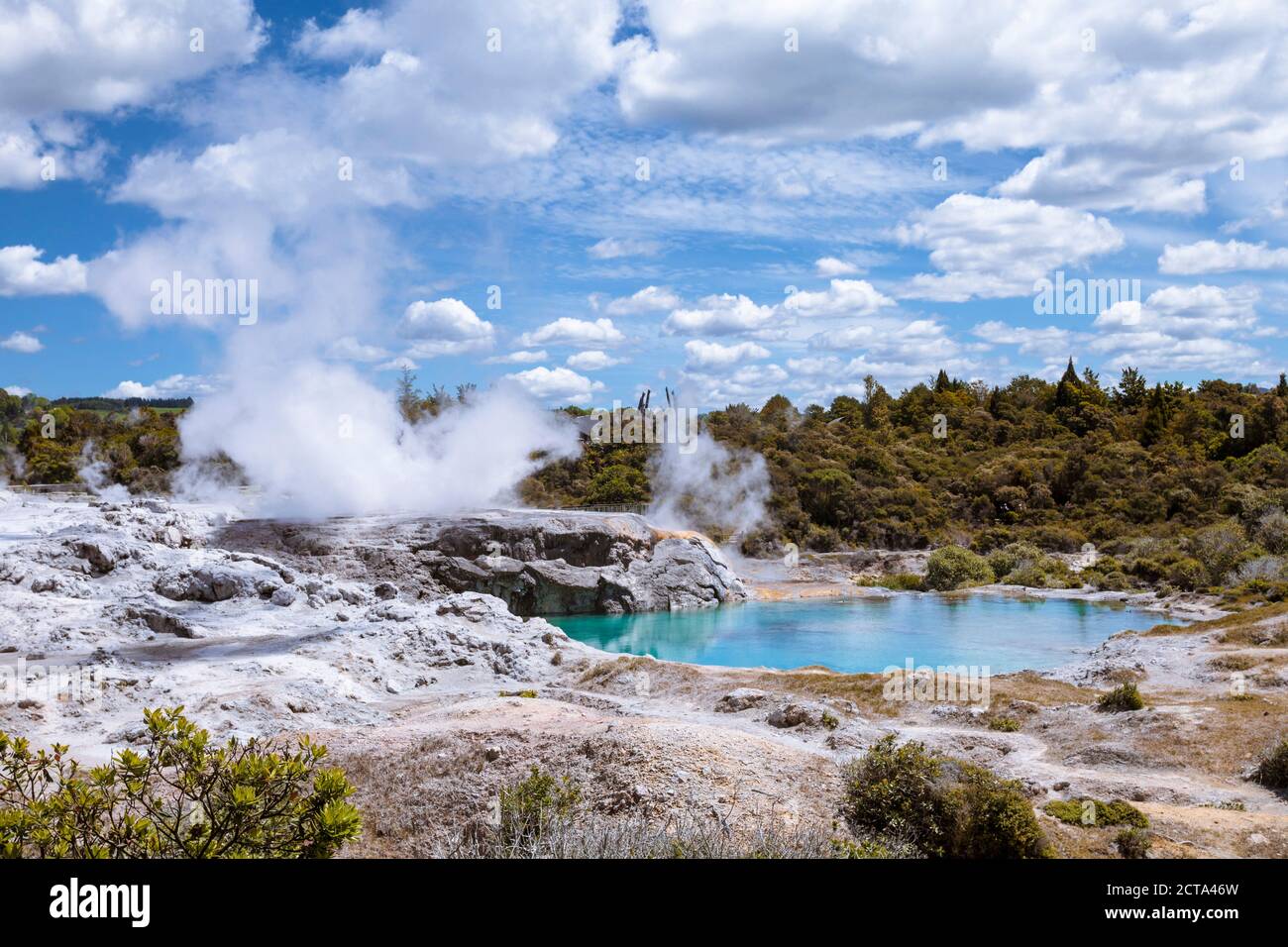 Neuseeland, Whakarewarewa, geothermischen Feld Stockfoto
