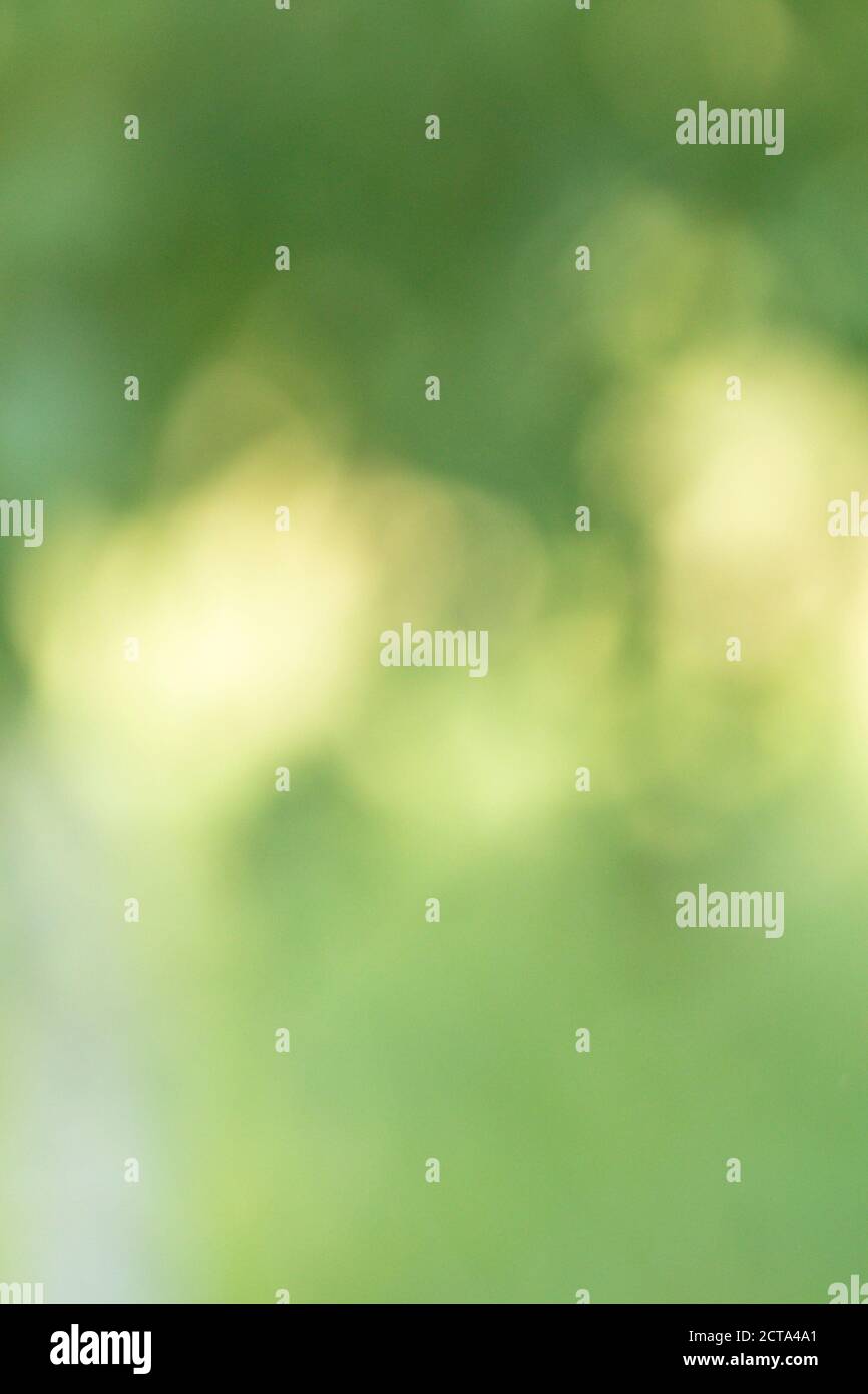 Abstrakt natürlichen grünen Bokeh Hintergrund. Vertikales Foto Stockfoto