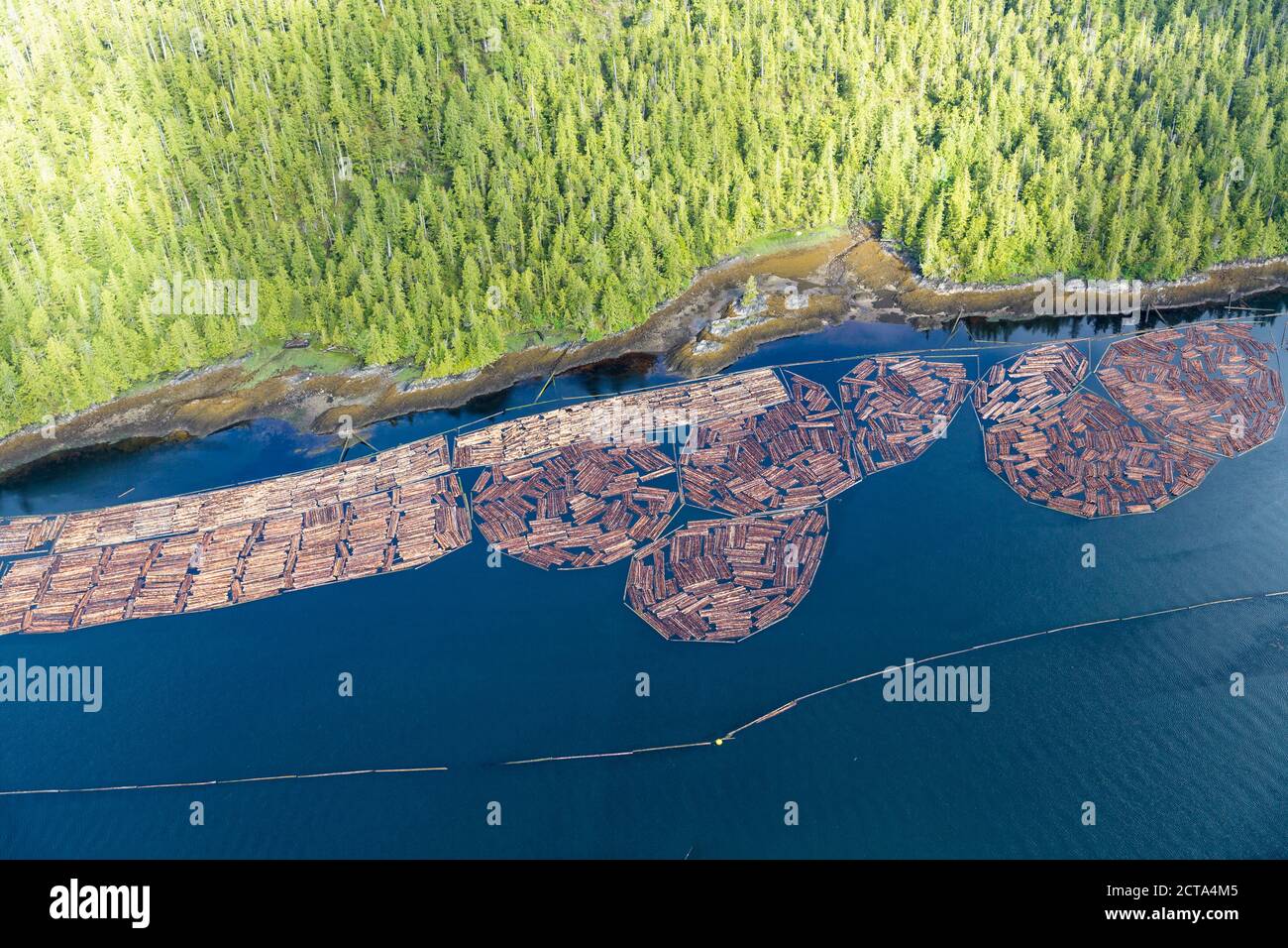 Kanada, British Columbia, Prince Rupert, Holzindustrie, Holz am Meer Stockfoto