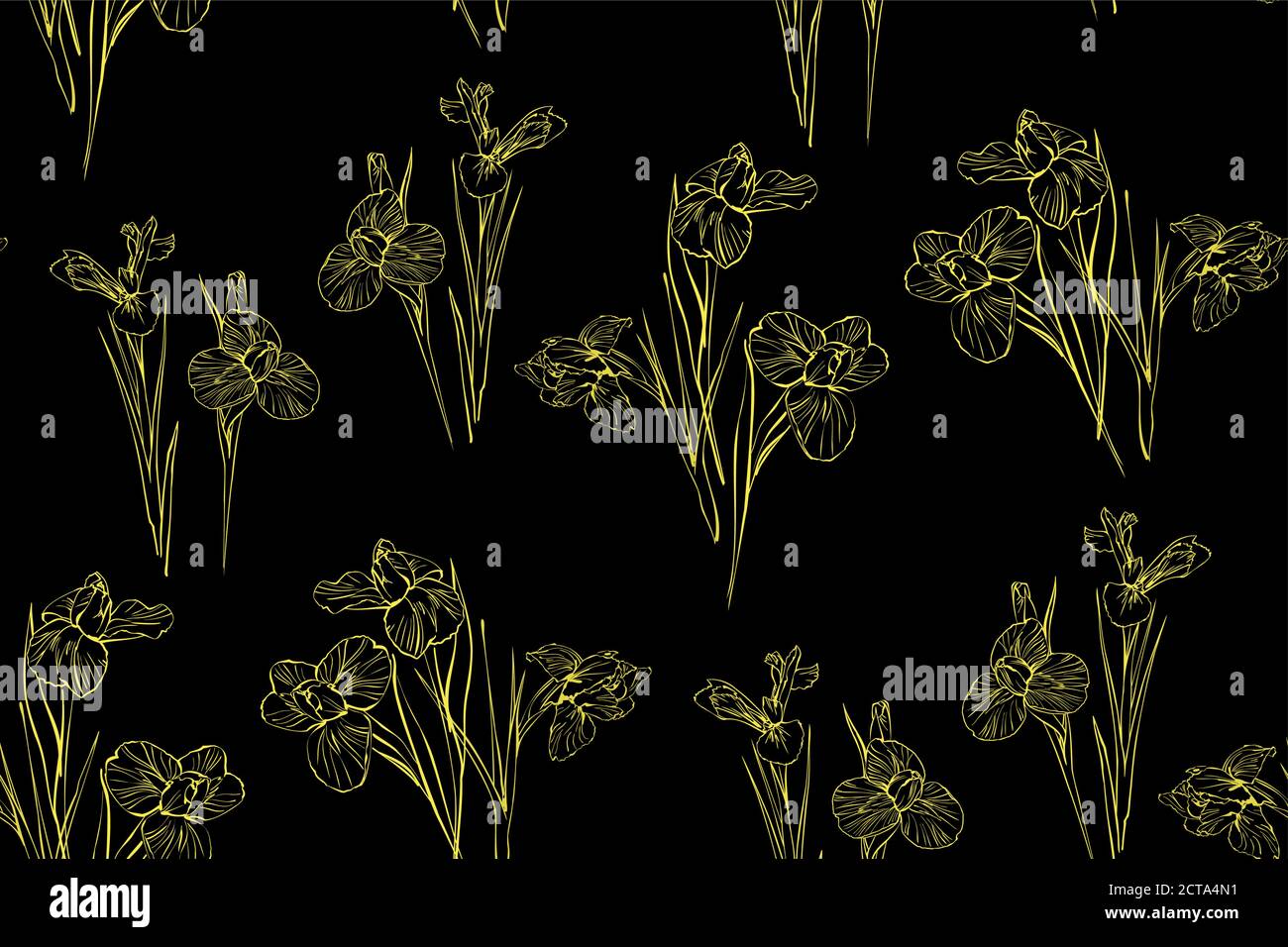 Iris Blumen Vektor nahtlose Hintergrund Muster Hand gezeichnet. Vektorgrafik. Textildesign, Geschenkpapier. Stock Vektor