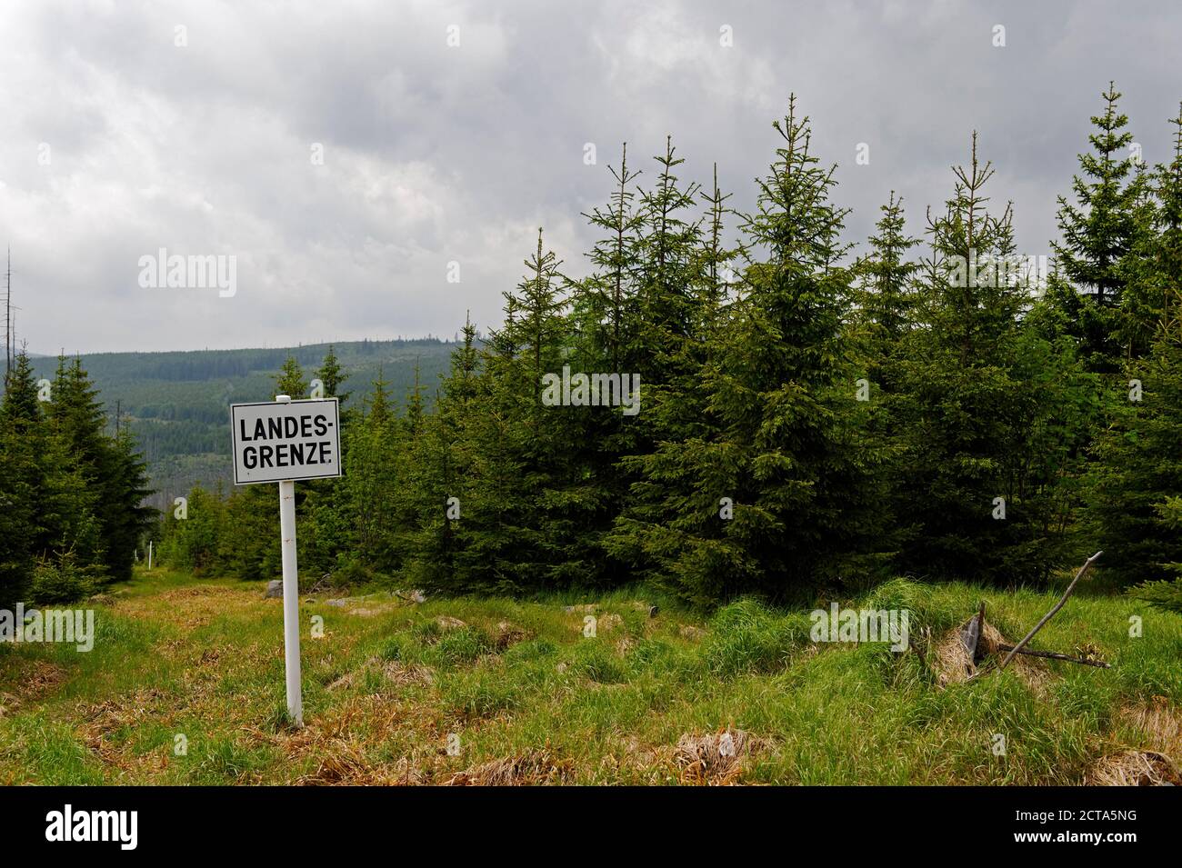 Deutschland, Nationalpark Bayerischer Wald, Grenze zu Tschechien in der Nähe von Finsterau Stockfoto