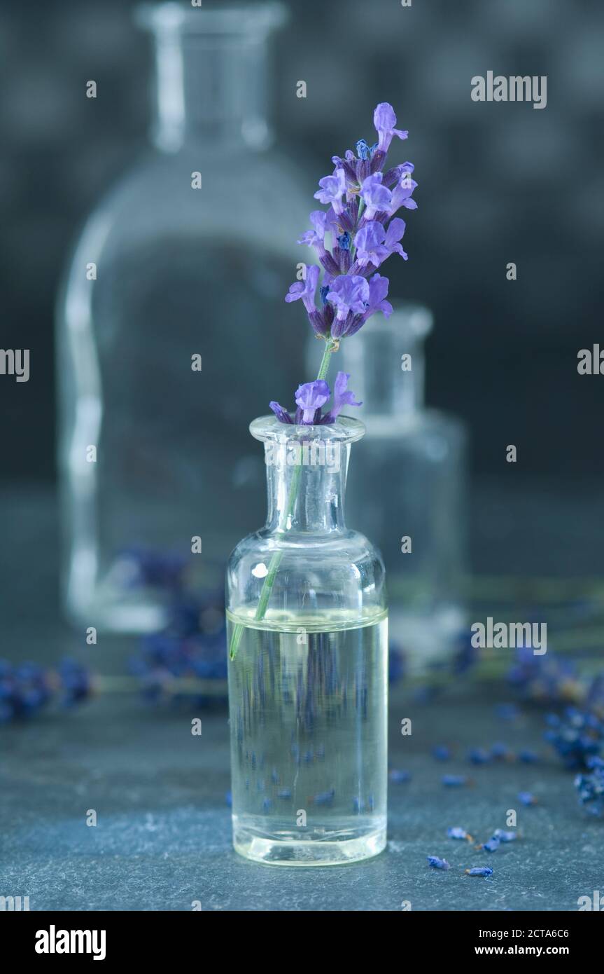 Aromaöl und Zweig Lavendel in einer Glasflasche Stockfoto