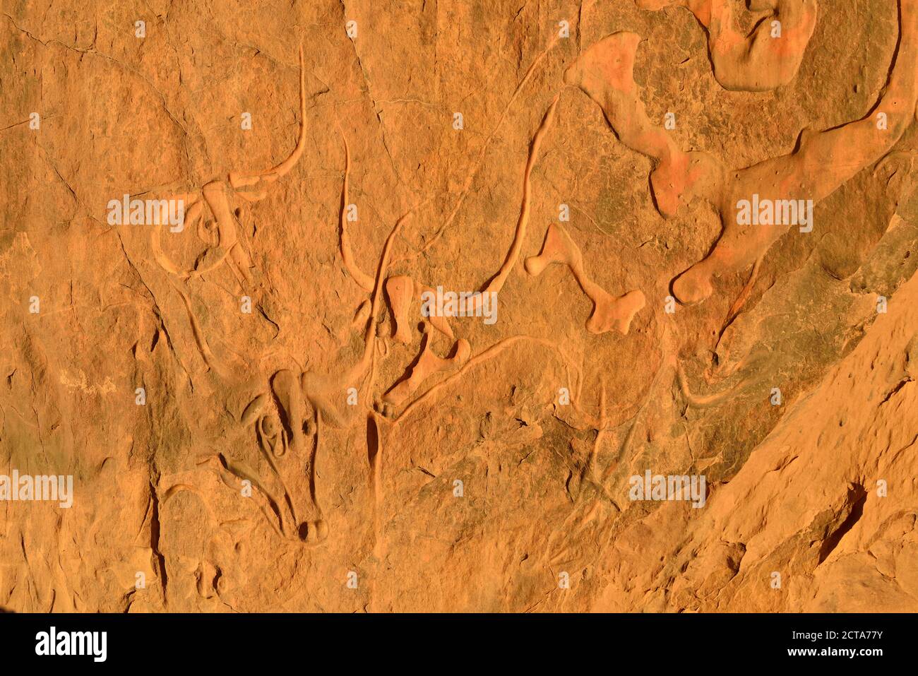 Nordafrika, Sahara, Algerien, Tassili N'Ajjer Nationalpark, Tadrart, neolithische Felskunst, la vache qui pleure, Felsgravur einer weinenden Kuh Stockfoto