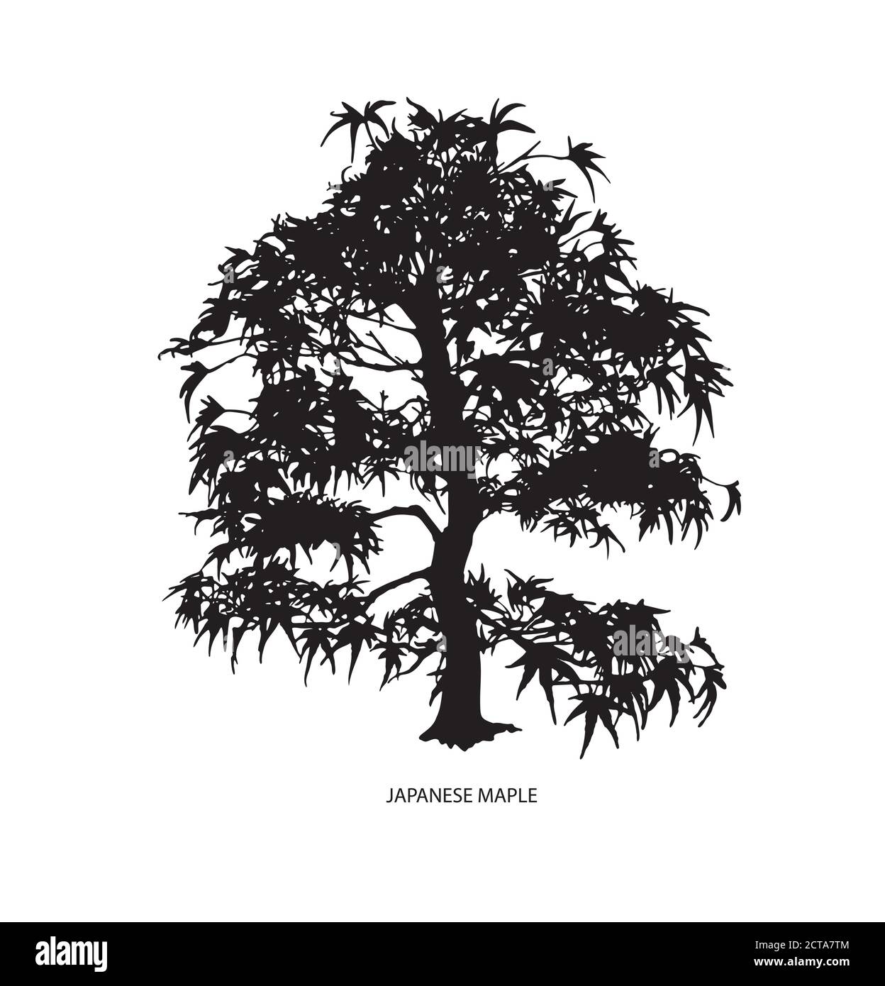 Bonsai Tree Silhouette Stock Vektorgrafiken Kaufen Seite 2 Alamy
