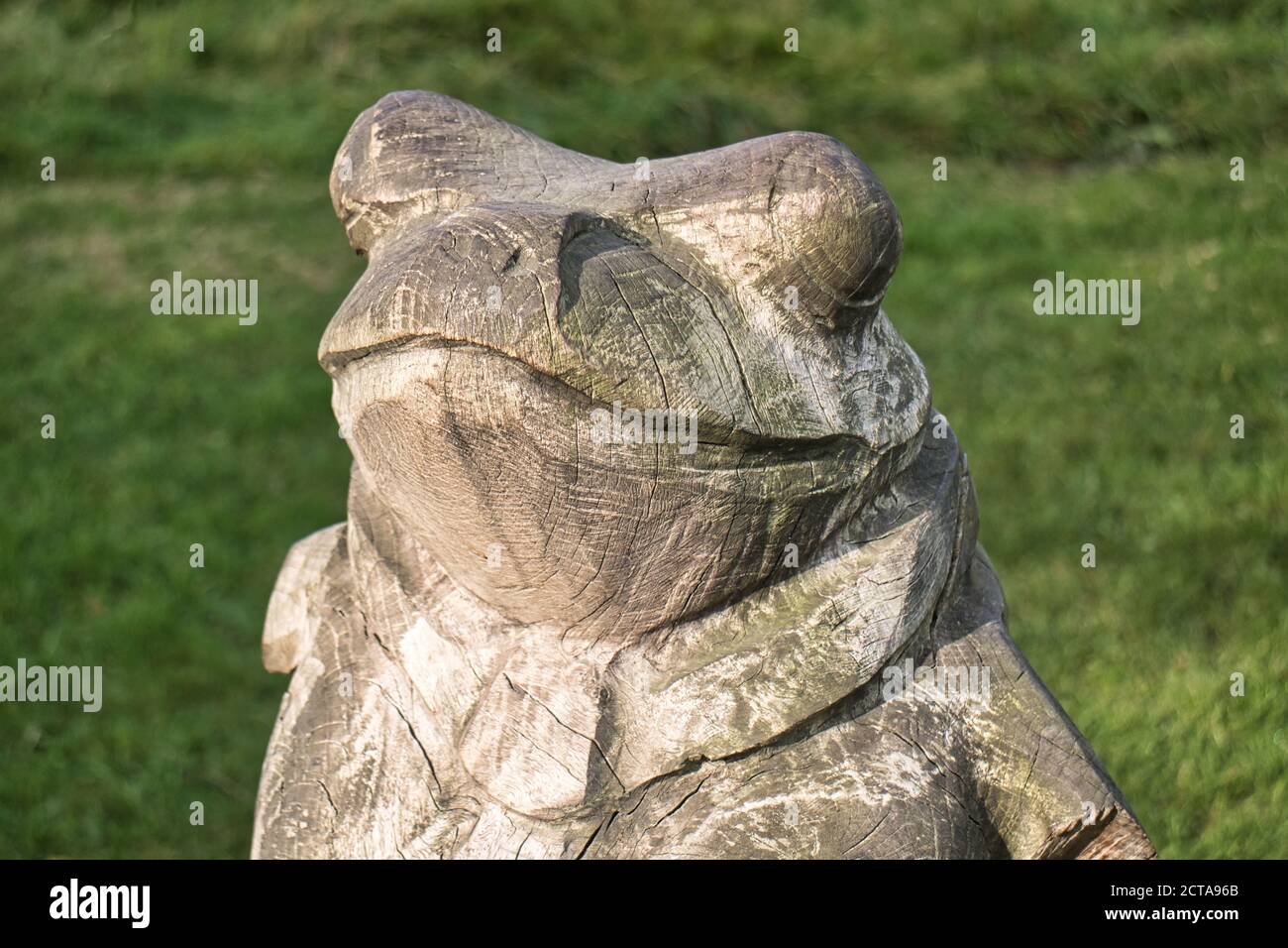 Lächelnde Holzfrosch Skulptur im Wald genießen die Sonne Auf seinem Gesicht Stockfoto
