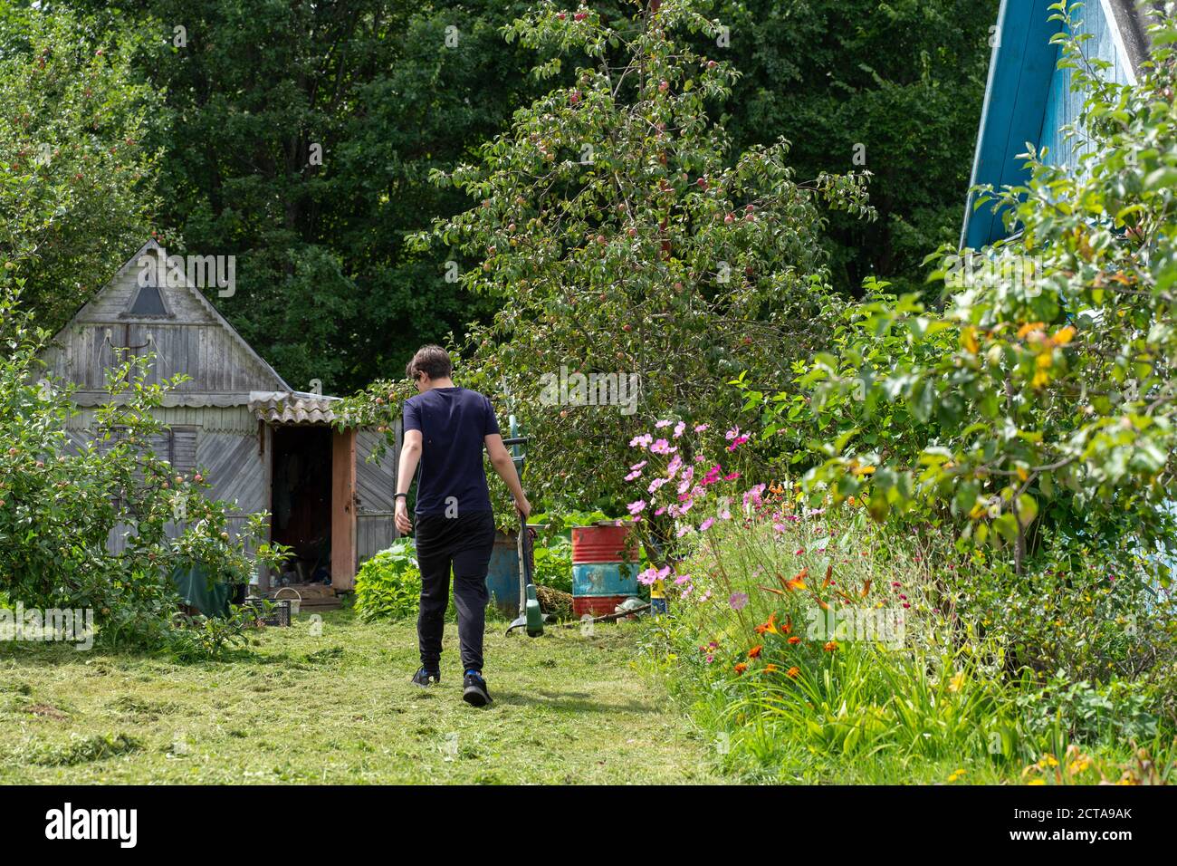 Ein junger Mann geht mit einem Trimer auf dem geschrubbelten Rasen. Stockfoto