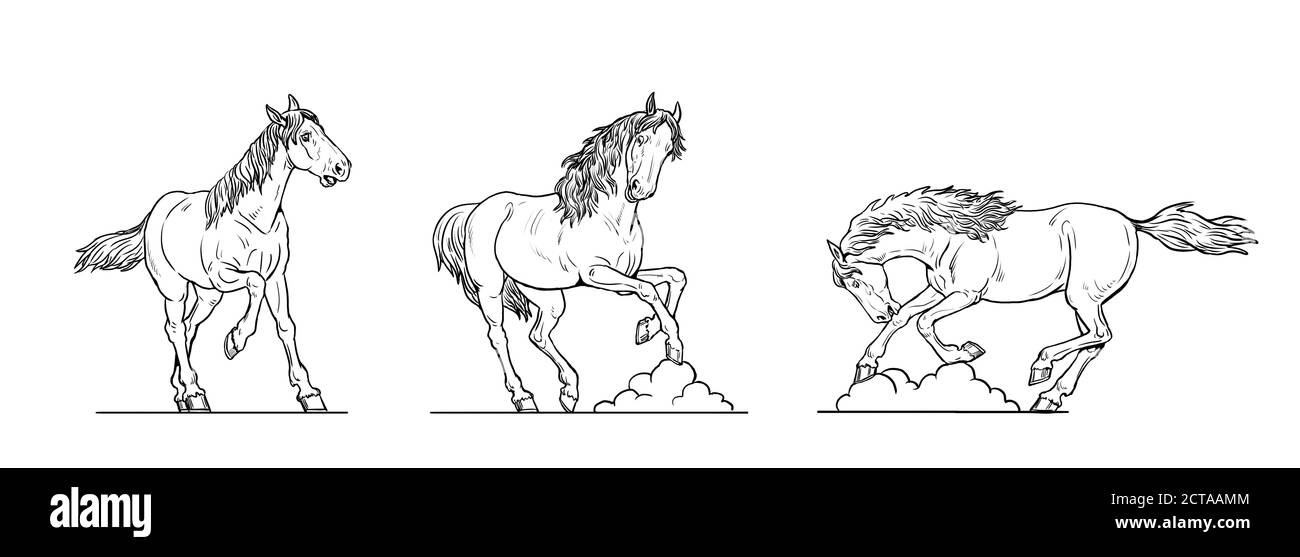 Pferde zeichnen. Arabische Pferde spielen, laufen und kämpfen. Pferdekontur. Stockfoto