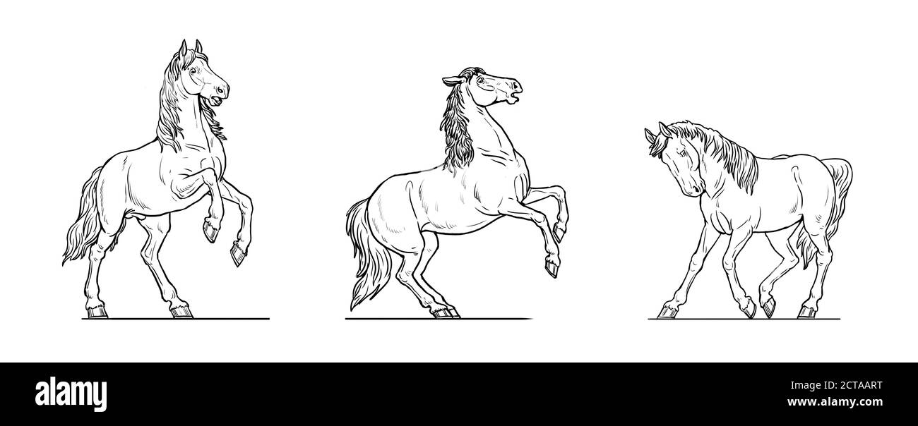 Pferde zeichnen. Wilde Pferde spielen, laufen und kämpfen. Pferdekontur. Stockfoto