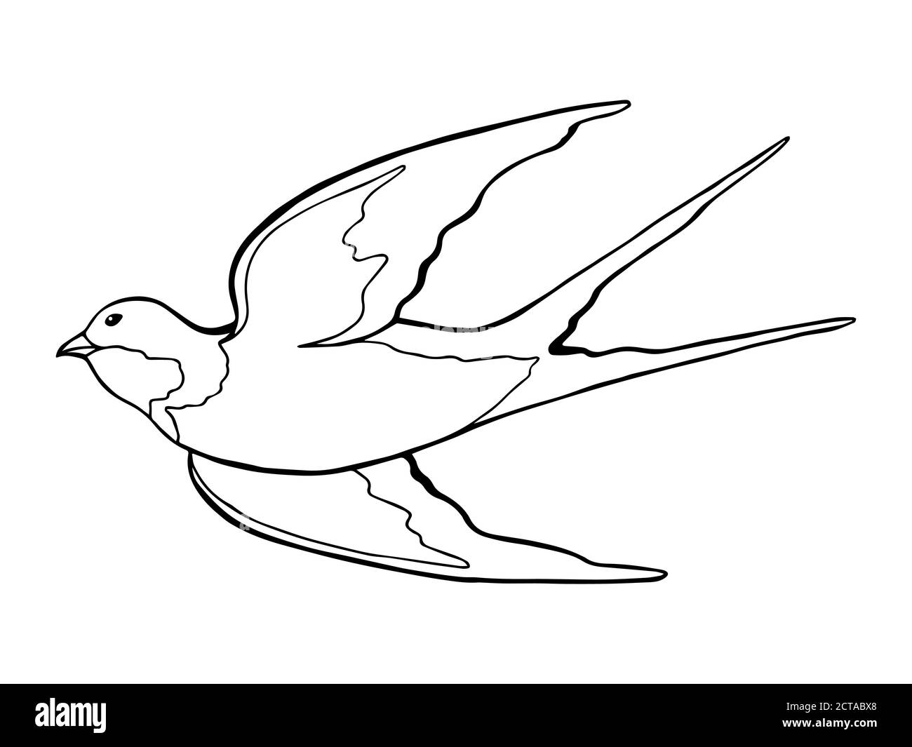 Swallow Vogel schwarz weiß isoliert Skizze Illustration Vektor Stock Vektor