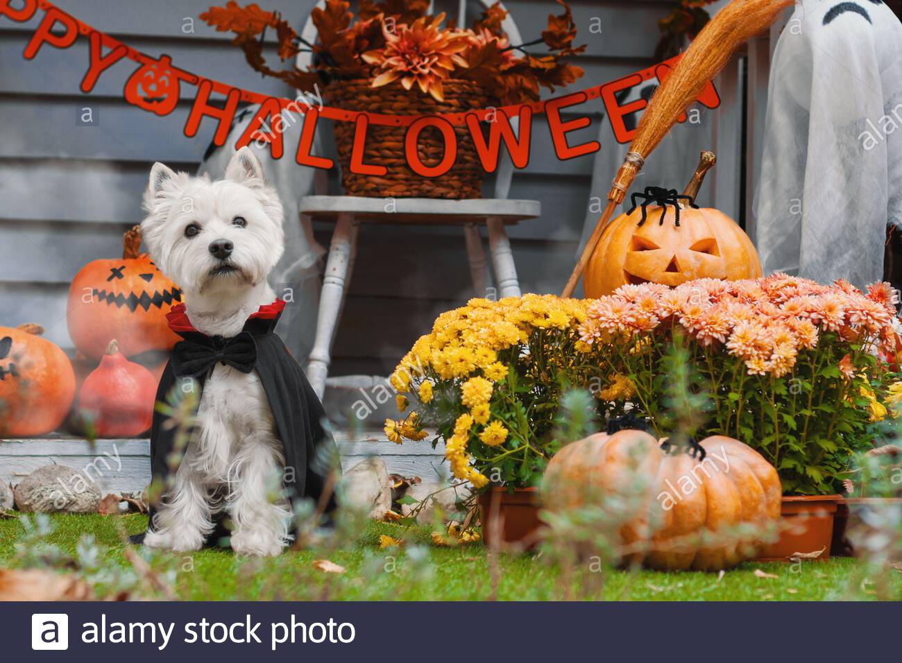 geschmuckter umhang stockfotos und bilder kaufen alamy