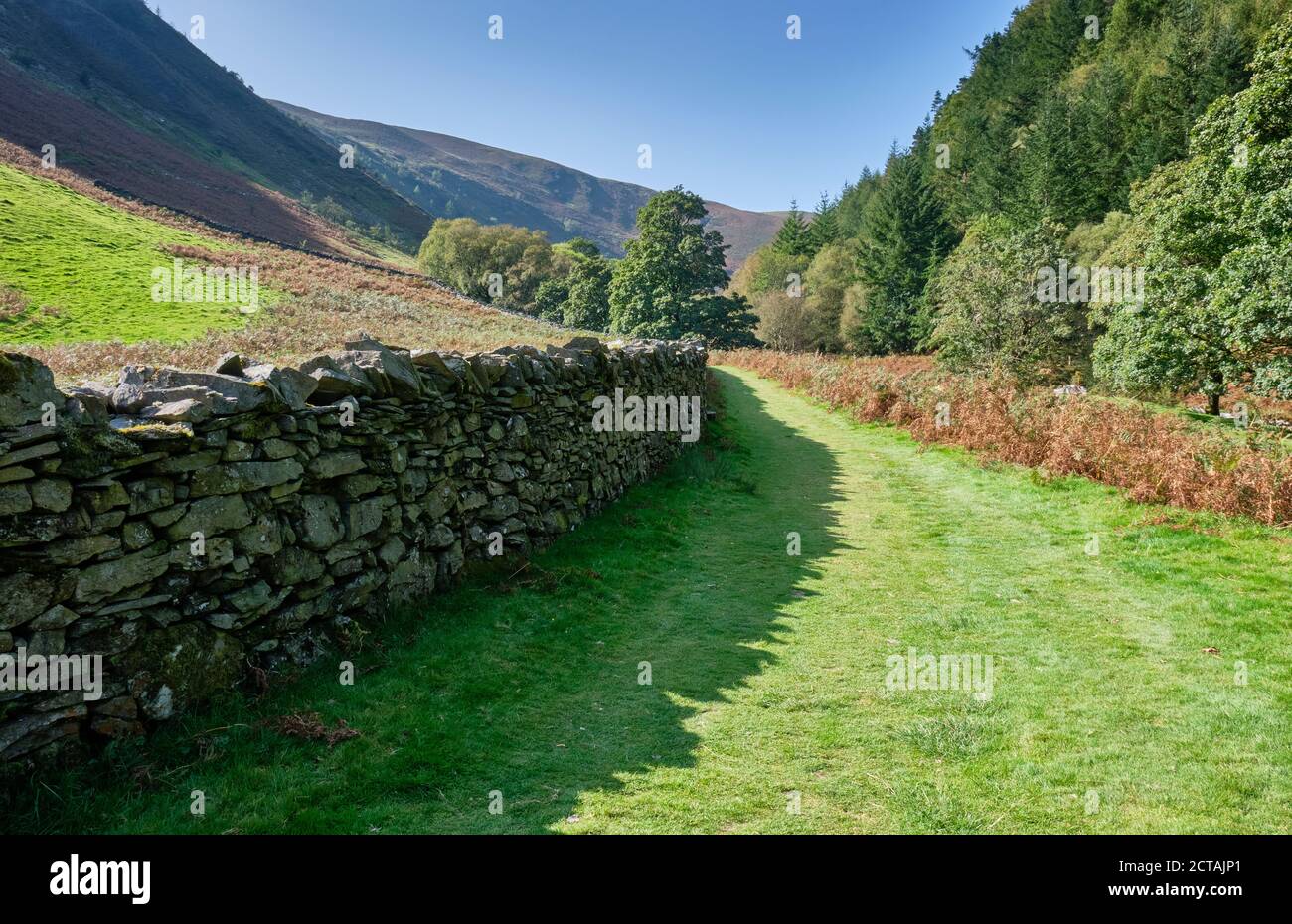 Weg entlang der Afon Eidew in Richtung Pistyll Rhyd-y-mainciau Wasserfall am Lake Vyrnwy, Powys, Wales Stockfoto