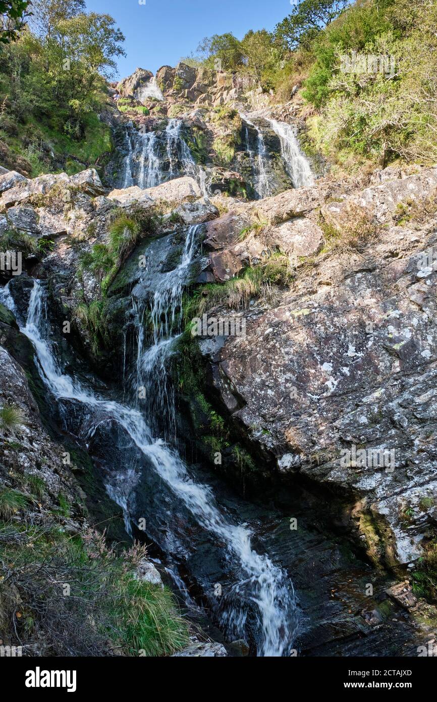 Pistyll Rhyd-y-mainciau Wasserfall am Lake Vyrnwy, Powys, Wales Stockfoto
