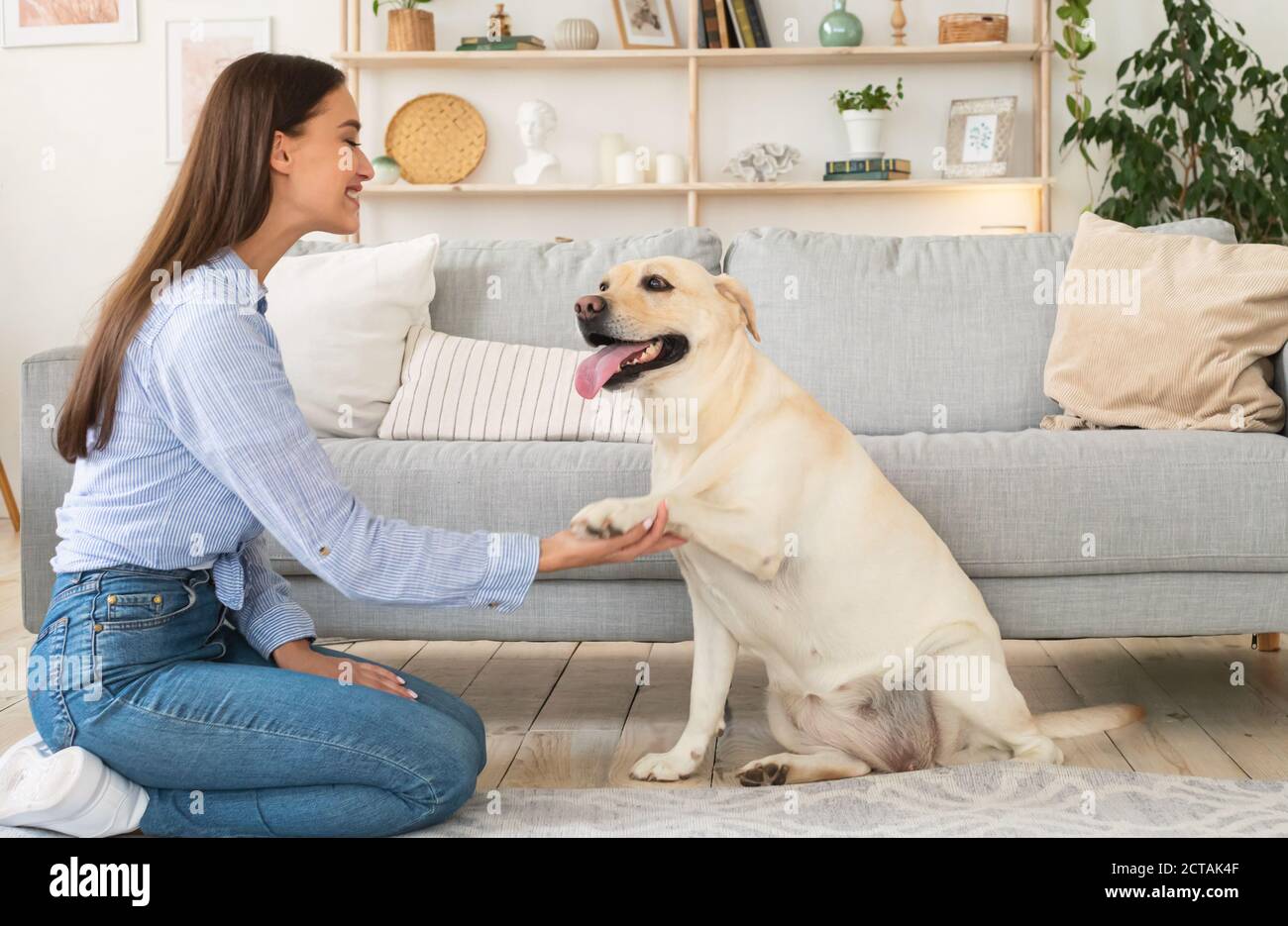 Junge Frau spielt mit Hund im Wohnzimmer Stockfoto