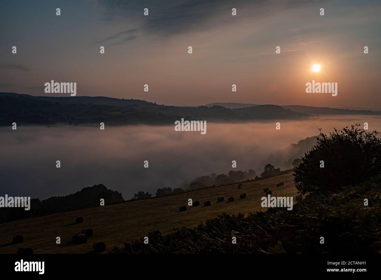 Morgennebel über dem Fluss Wye in Wales, großbritannien Stockfoto