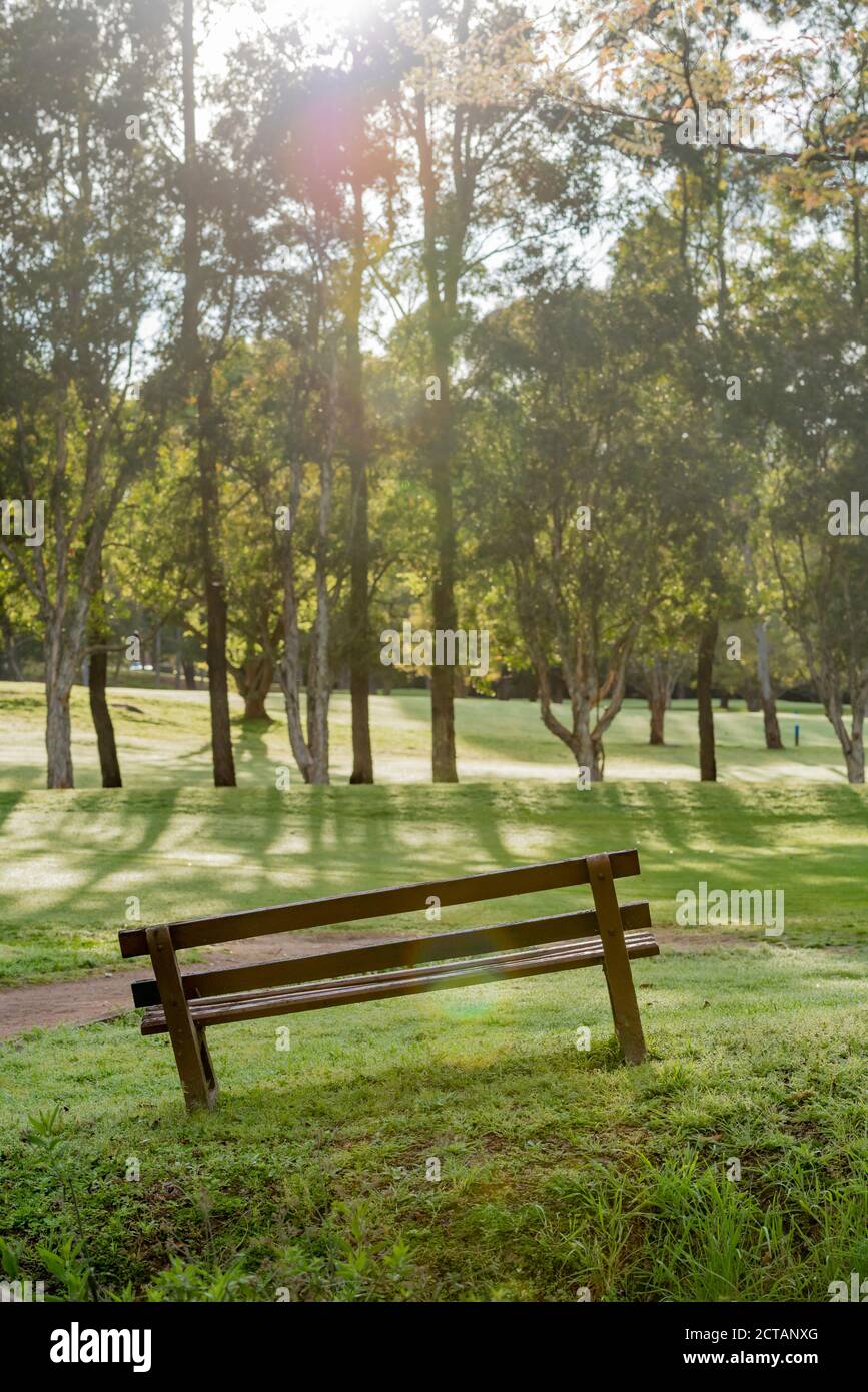 Eine Parkbank oder ein Sitz sitzt in einem ungünstigen Winkel Auf der Seite eines Hügels auf einem Golfplatz Als Morgensonne durch nahe gelegene Bäume scheint Stockfoto