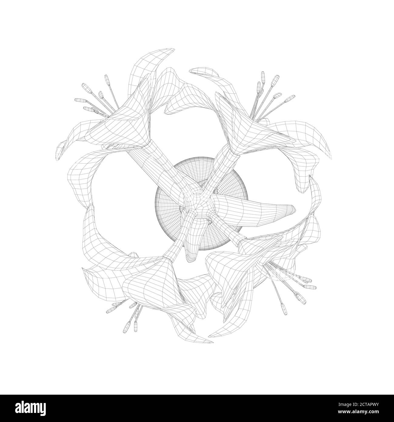 Wireframe von Hippeastrum in einem Topf aus schwarzen Linien isoliert auf weißem Hintergrund. Blick von oben. 3D. Vektorgrafik Stock Vektor