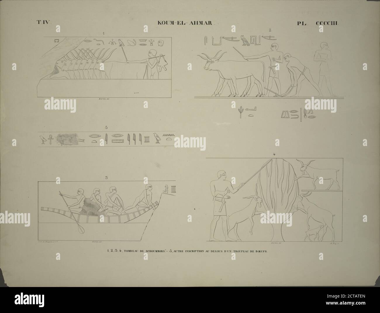 Koum-el-Ahmar Kom el-Ahmar. 1-4. Tombeau de Schoummors; 5. Autre inscription au dessus d'un troupeau de boeufs., Standbild, Druckgraphik, 1835 - 1845, Champollion, Jean François (1790-1832 Stockfoto