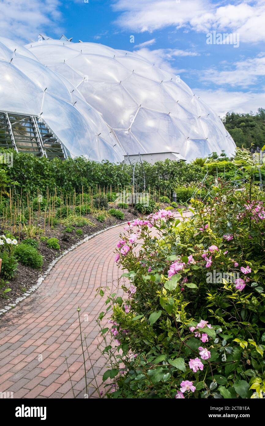 Das mediterrane Biom im Eden Project bei St. Austell in Cornwall. Stockfoto