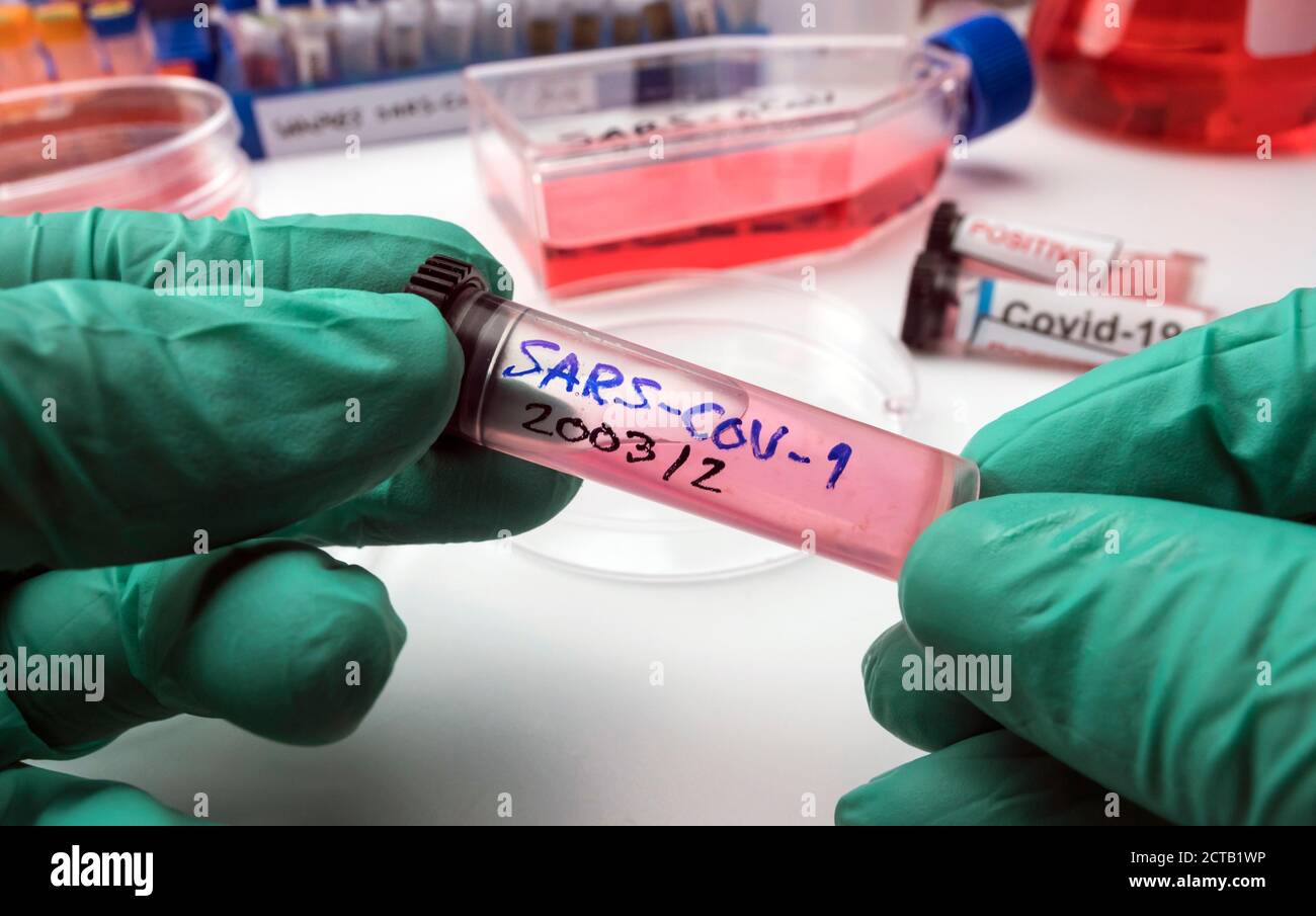 Probenflaschen mit SARS-COV-1, kalt in einer Labor-epiedomologischen Studie mit SARS-CoV-2 Covid-19 vorbereitet, konzeptionelles Bild Stockfoto