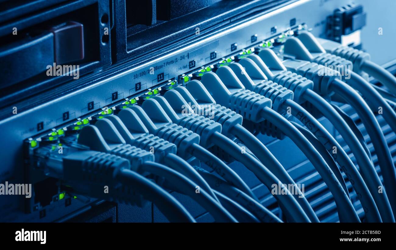Makroaufnahme: Ethernet-Rechenzentrumskabel, die mit blinkenden LEDs an Router-Ports angeschlossen sind. Telekommunikation: RJ45 Internet Connectors in Mode eingesteckt Stockfoto