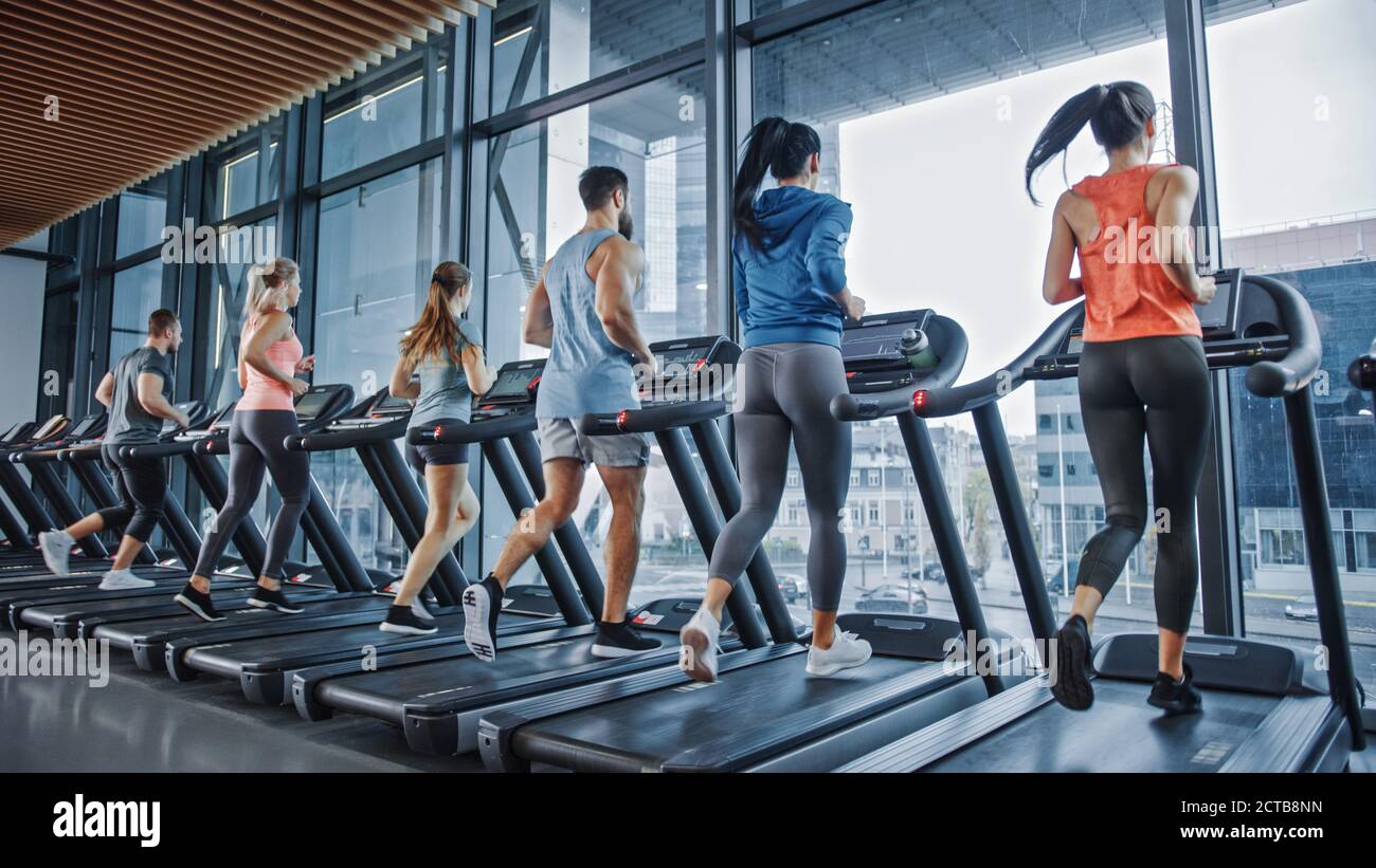 Gruppe von Athletic Menschen laufen auf Laufbändern, dabei Fitness-Übung. Sportliche und muskulöse Frauen und Männer aktiv Training in der modernen Turnhalle Stockfoto